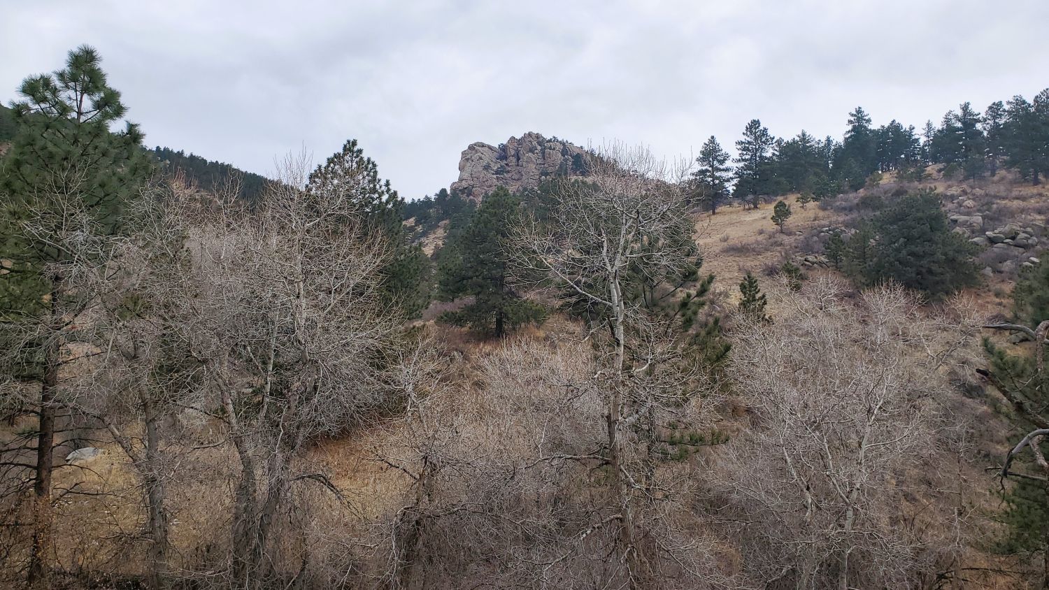 Lory State Park 